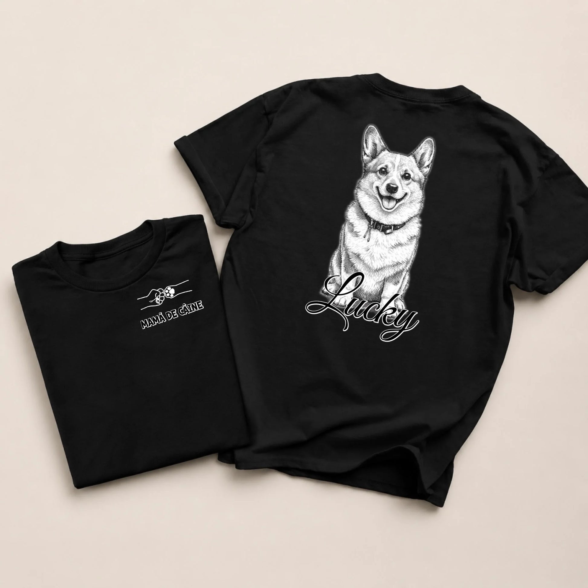 sfsf